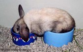 Enlarge photo 126