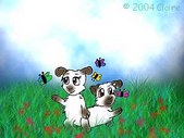 Enlarge photo 35
