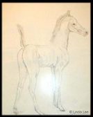 Enlarge photo 52