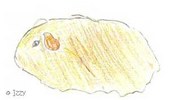 Enlarge photo 40