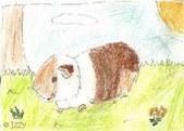 Enlarge photo 41