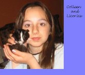 Enlarge photo 17