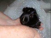 Enlarge photo 39