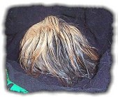 Enlarge photo 34