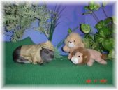 Enlarge photo 11