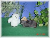 Enlarge photo 13
