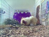 Enlarge photo 79