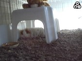 Enlarge photo 114