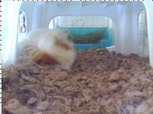 Enlarge photo 57