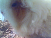 Enlarge photo 64