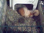 Enlarge photo 151