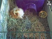Enlarge photo 154