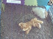 Enlarge photo 127