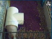 Enlarge photo 159