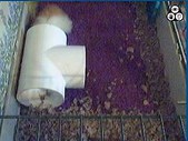 Enlarge photo 158