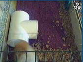 Enlarge photo 160