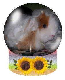 Enlarge photo 70