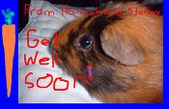 Enlarge photo 239