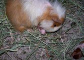 Enlarge photo 148