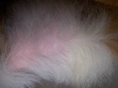 Enlarge photo 181