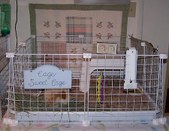 Enlarge photo 33