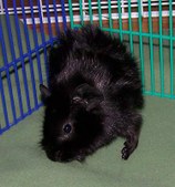 Enlarge photo 301