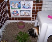 Enlarge photo 235