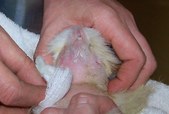 Enlarge photo 14