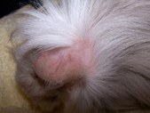 Enlarge photo 58
