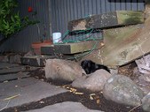 Enlarge photo 11