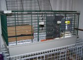 Enlarge photo 24