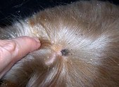 Enlarge photo 35