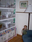 Enlarge photo 14