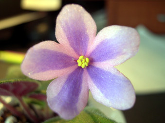 Enlarge photo 70