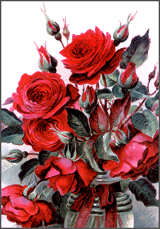 Enlarge photo 632