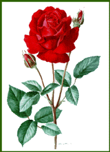 Enlarge photo 640