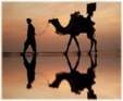 Enlarge photo 561