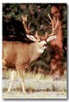 Enlarge photo 76