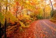 Enlarge photo 545