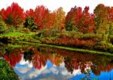 Enlarge photo 546