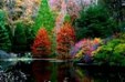 Enlarge photo 548
