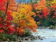 Enlarge photo 550