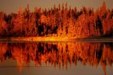 Enlarge photo 552