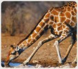 Enlarge photo 142