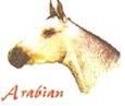 Enlarge photo 167