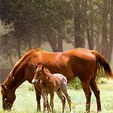 Enlarge photo 169