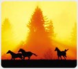 Enlarge photo 171