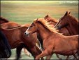 Enlarge photo 174