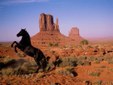 Enlarge photo 179