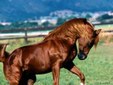 Enlarge photo 182